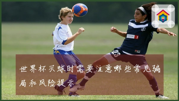 世界杯买球时需要注意哪些常见骗局和风险提示