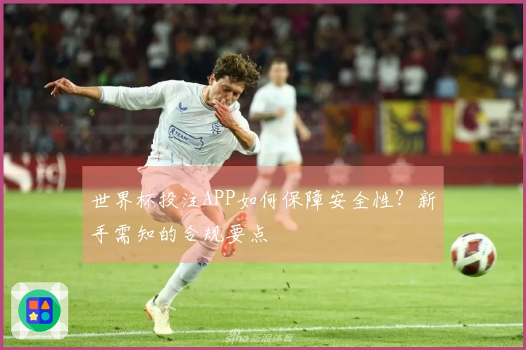 世界杯投注APP如何保障安全性？新手需知的合规要点