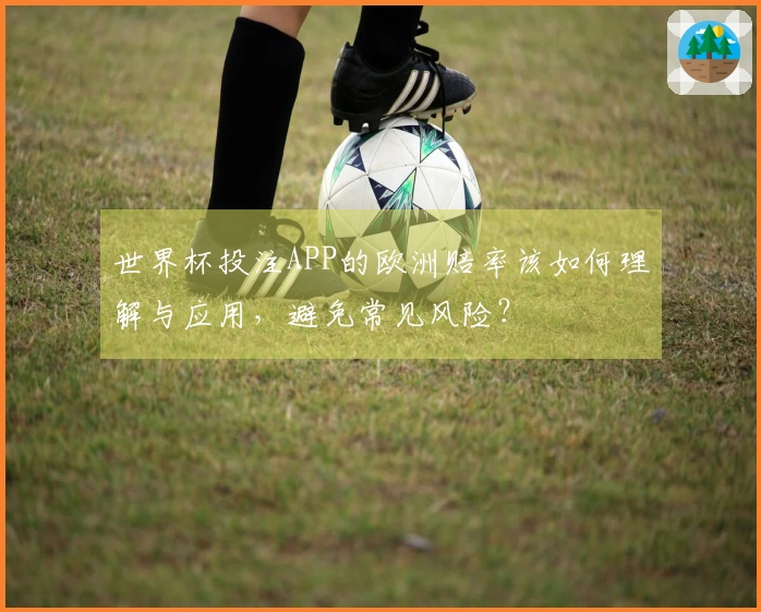 世界杯投注APP的欧洲赔率该如何理解与应用，避免常见风险？